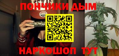 соль ск Можга