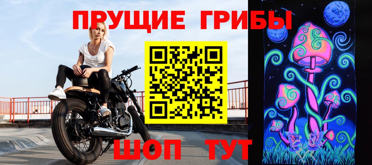 Галлюциногенные грибы Psilocybe Ухта